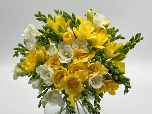Buchet 35 de frezii albe si galbene